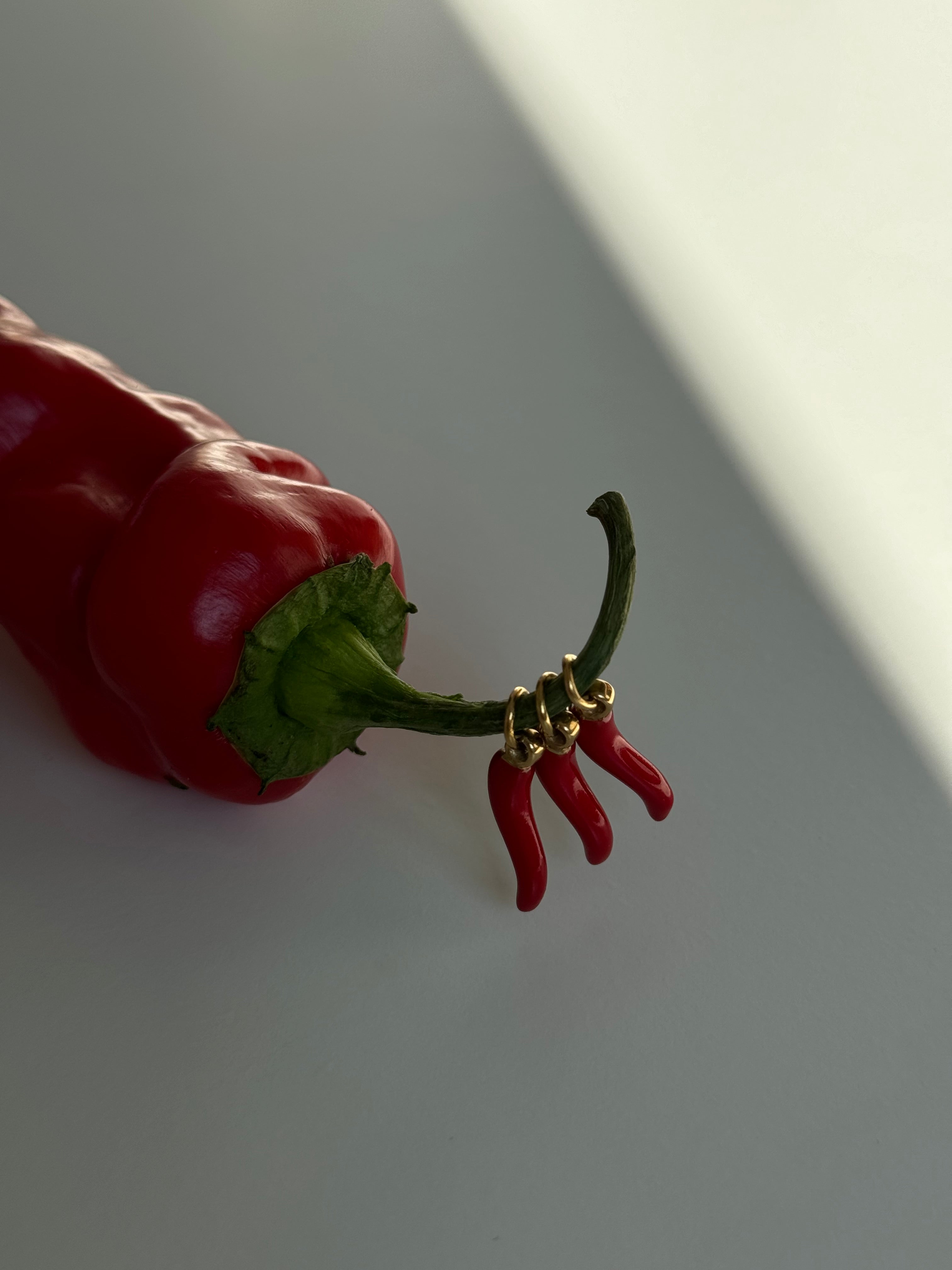 RED CHILI.