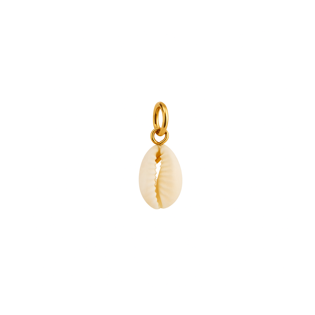  Natur Muschel Charm Anhänger 