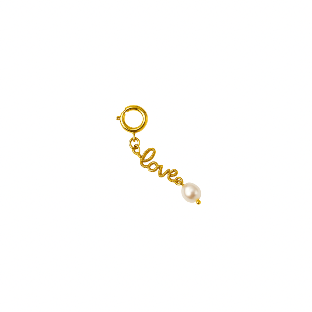 Goldene taschen charms